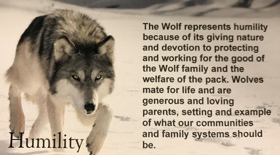 Humility Wolf - Sacred Teachings Poster