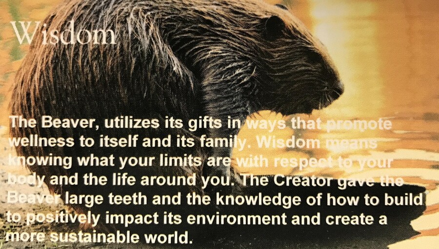 Wisdom Beaver - Sacred Teachings poster 