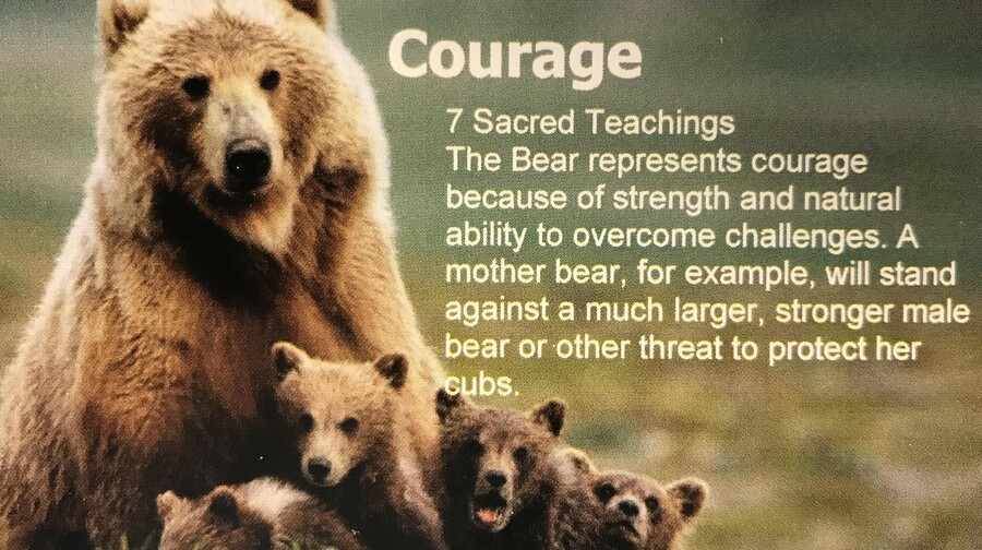 Courage Bear - Sacred Teachings poster