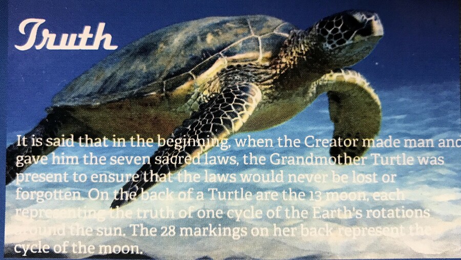Truth Turtle - Sacred Teachings poster