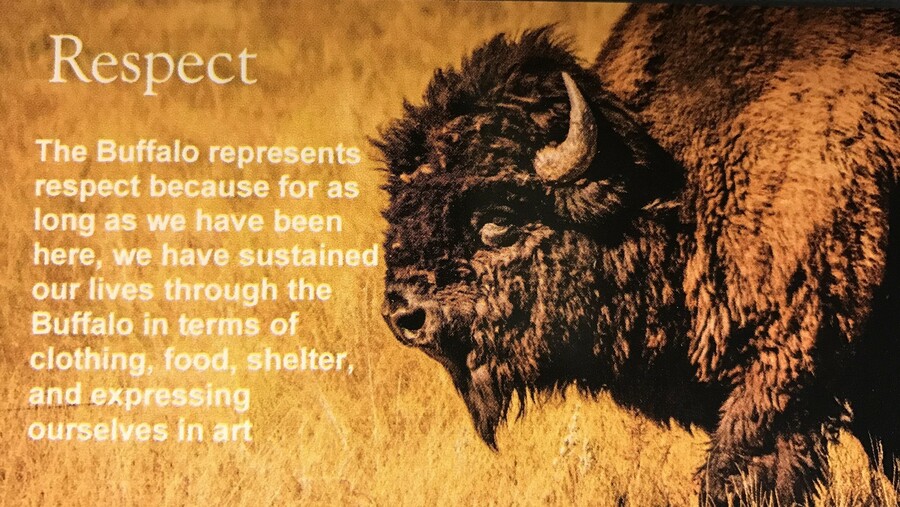 Respect Buffalo - Sacred Teachings poster